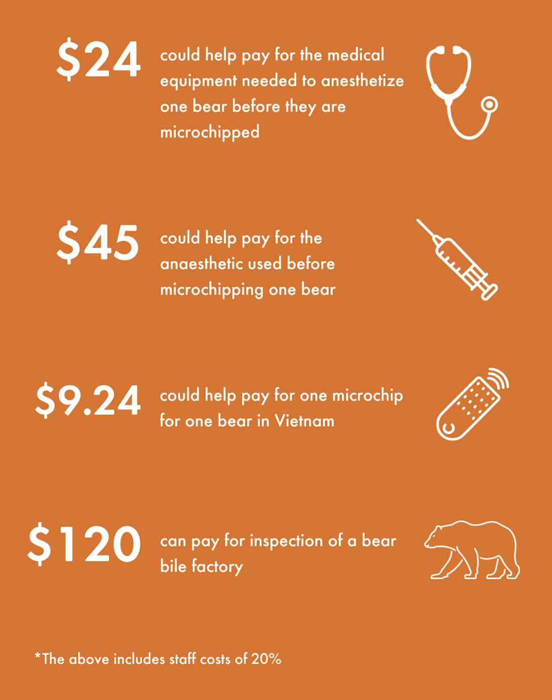 Infographic of how donations help bears.