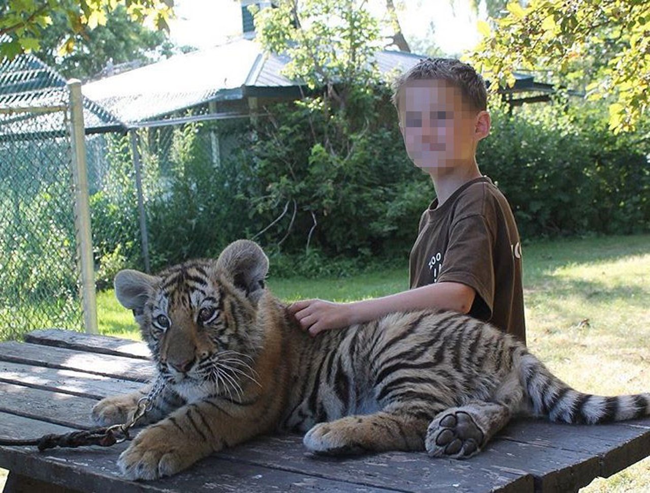 Selfie with tiger