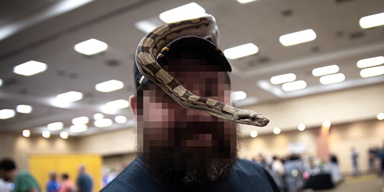 A bearded man wearing a baseball hat poses for a photo with a pet snake over his head.