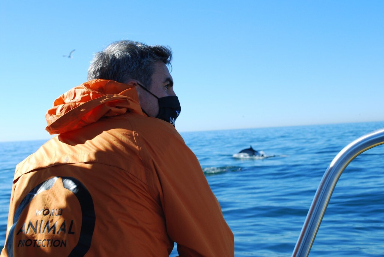 The Whale Heritage Sites certification programme was established by the World Cetacean Alliance and is currently run in partnership with World Animal Protection. Pictured - Ben Williamson, US Programs Director visits Dana Point whale heritage site. Credit Line: World Animal Protection