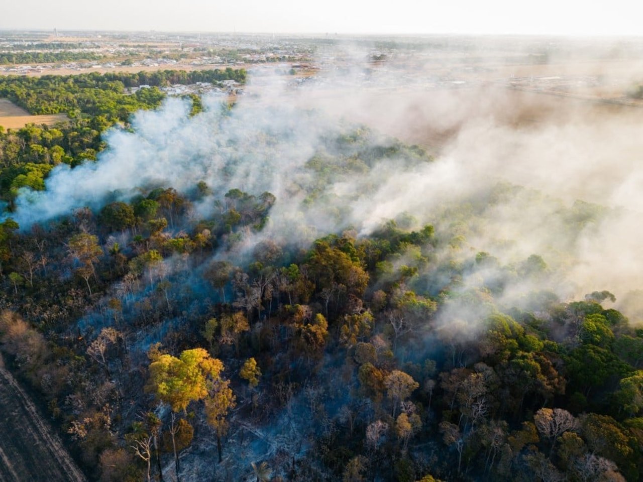 Forest fires in  SINOP Municipality, Brazil