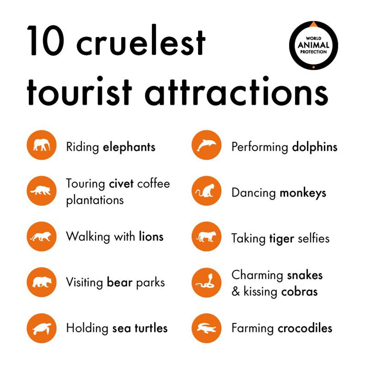 A list of 10 cruel tourist attractions that involve animals.