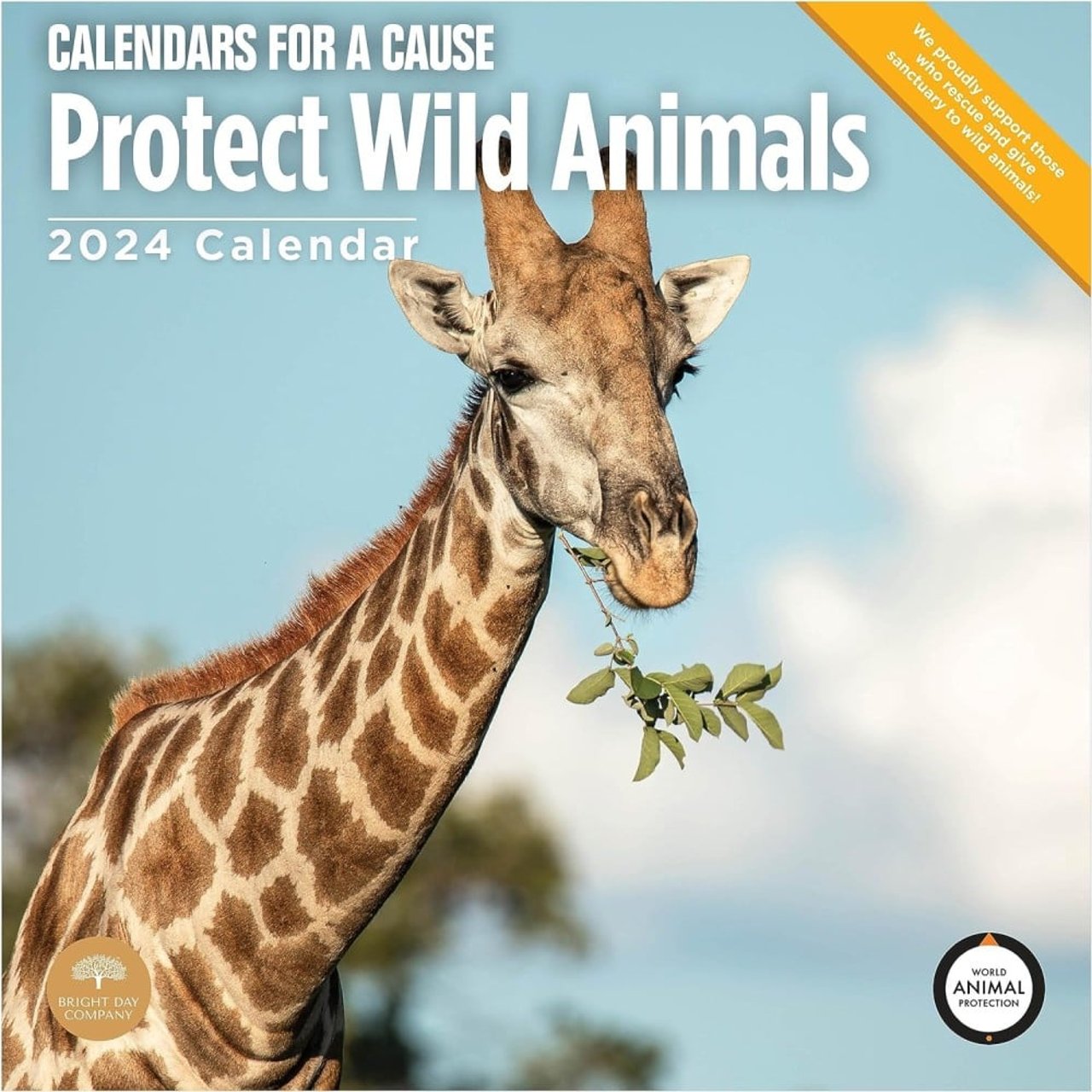 bright day calendar 2024