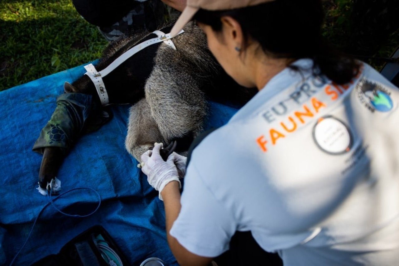 cecilia receiving medical care