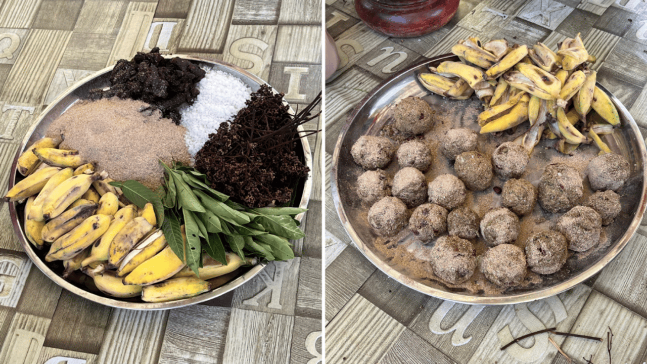 a before and after of creating the vitamin balls for the elephants at changchill