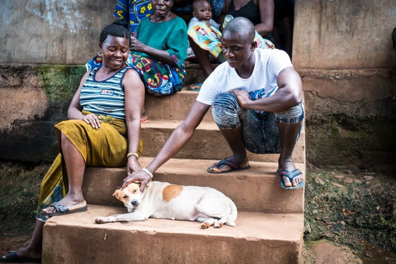 dog_sierraleone_800x534_1020297_0
