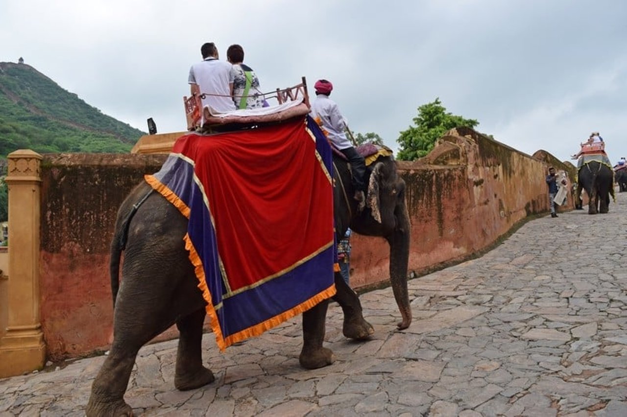 elephant_ride_india