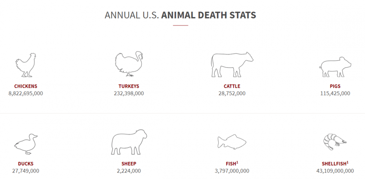 farmed_animals_graphic