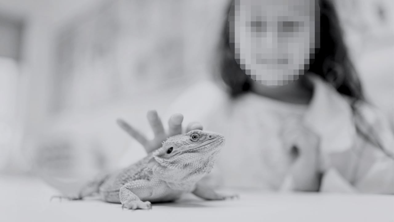 girl petting bearded dragon