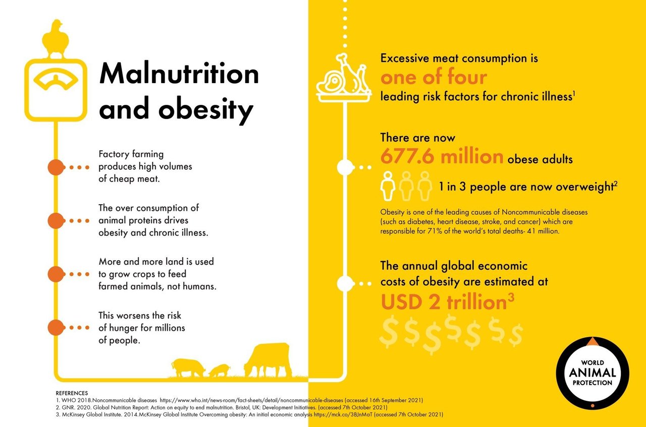 infographic describing factory farming