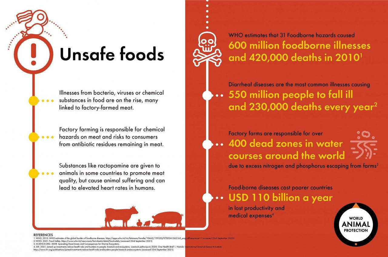 infographic describing factory farming