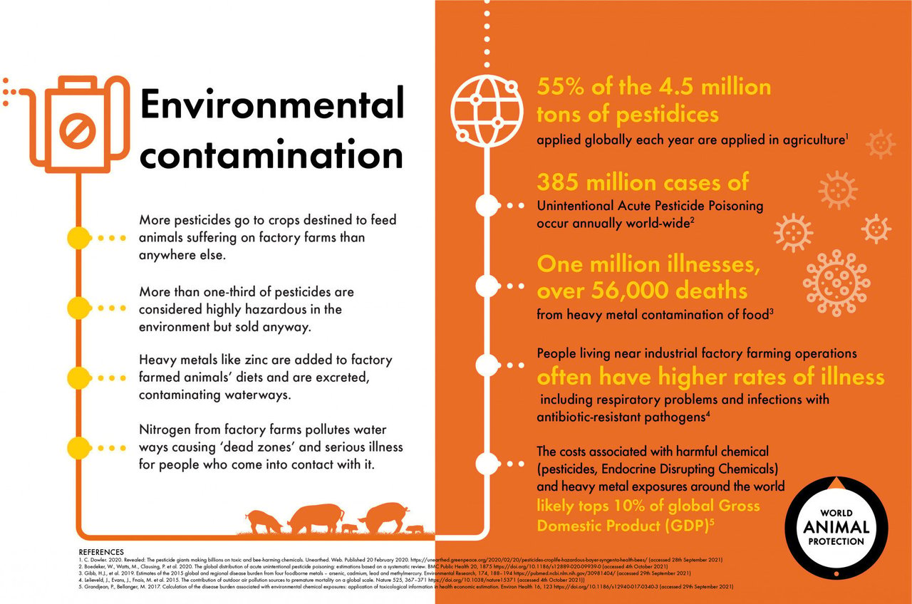 infographic describing factory farming