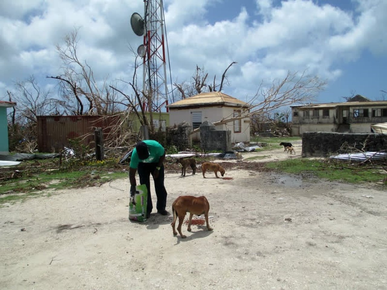 hurricane_irma_antigua_barbuda_1