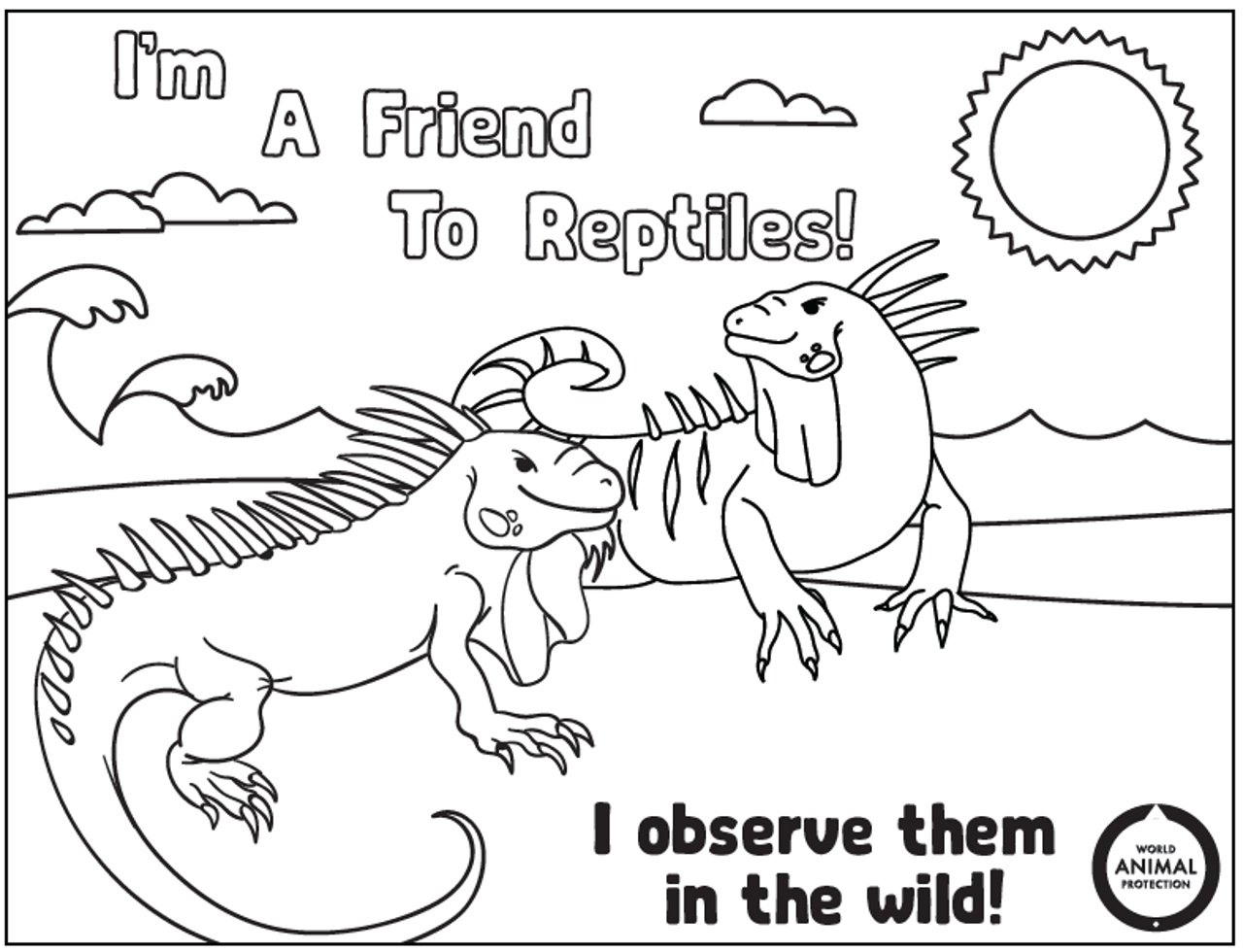 a page of the wildlife not pets kids activity book