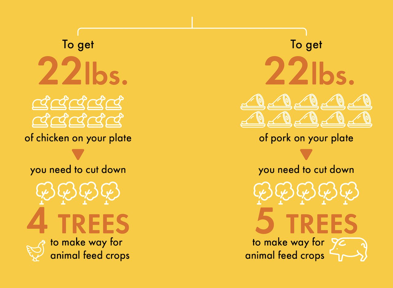 infographic showing the relationship between meat and greenhouse gas emissions