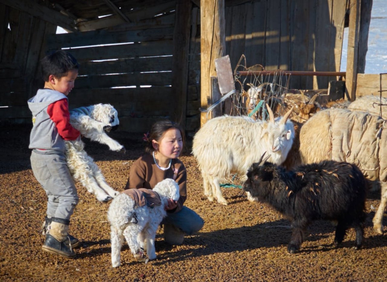 mongolia_children