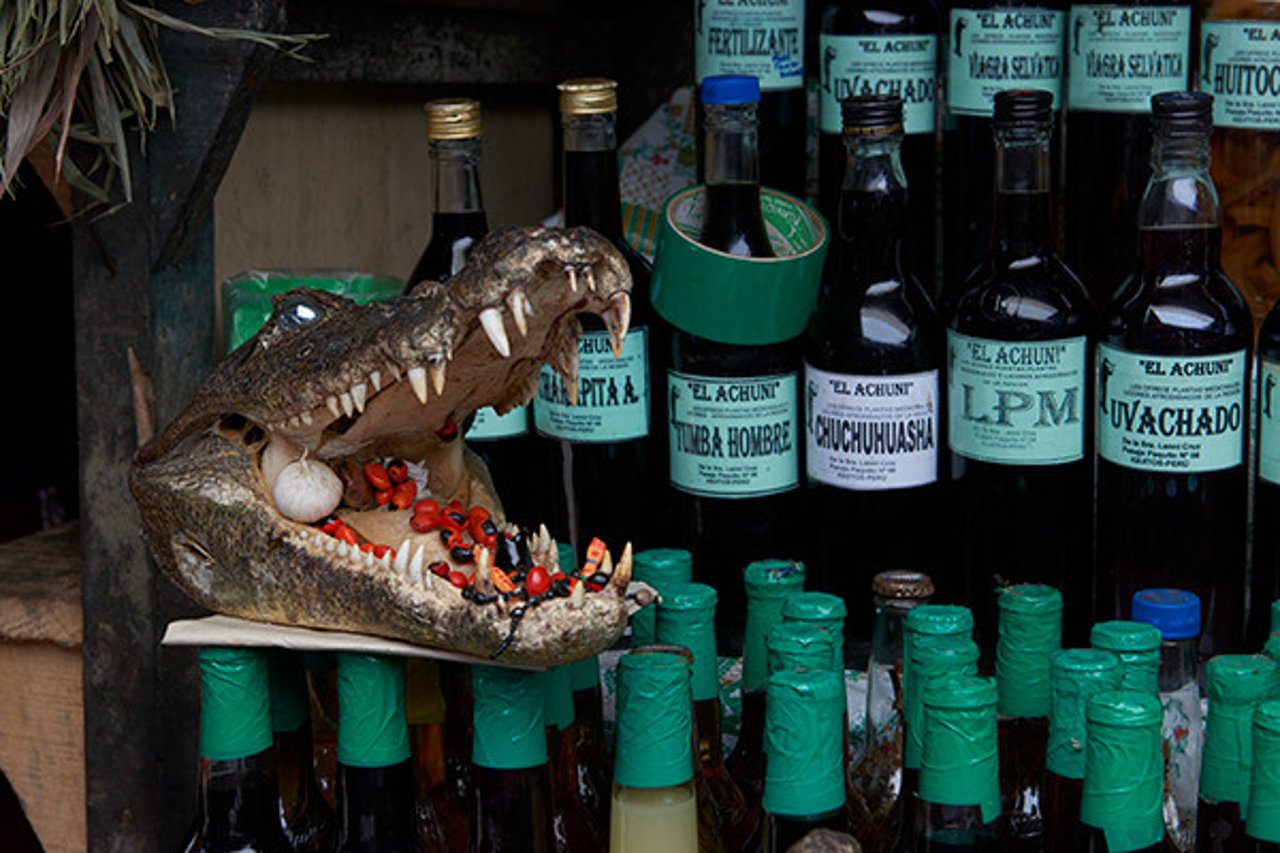 A large crocodile head is displayed on some wine bottles, its mouth open with chilis and garlic at the Belén Market in Iquitos, Peru.