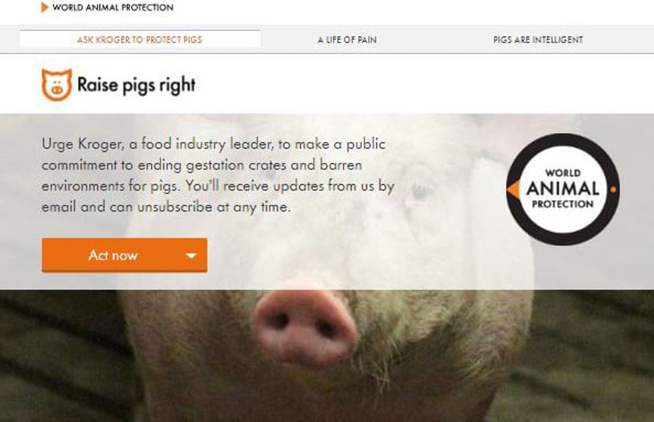 pigs_pledge_landing_page_0