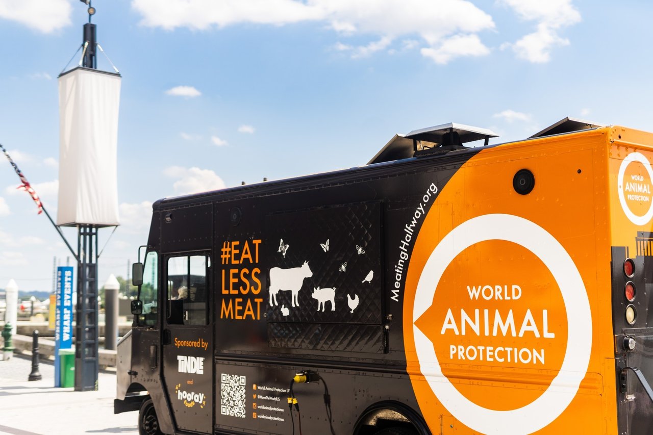World Animal Protection team in front of our food truck