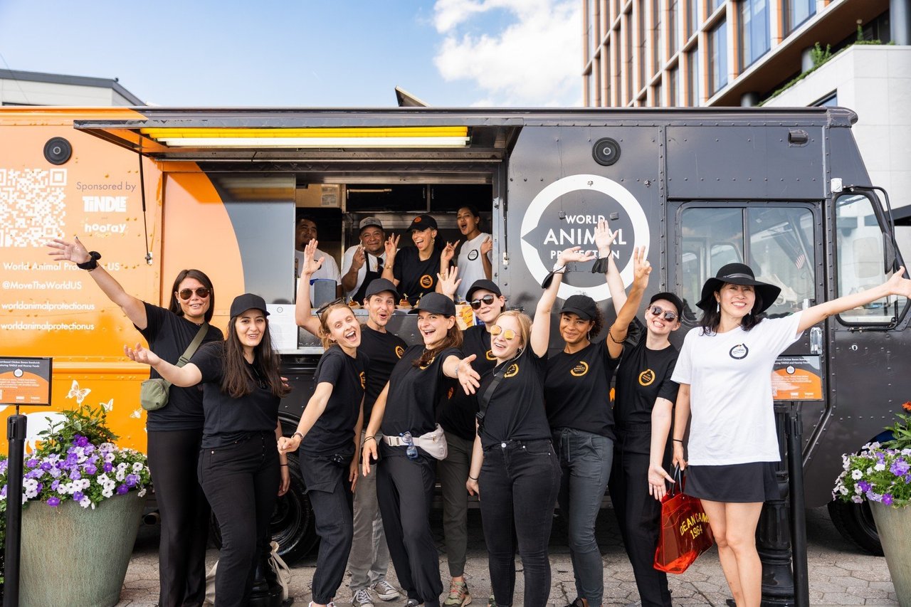 World Animal Protection team in front of our food truck