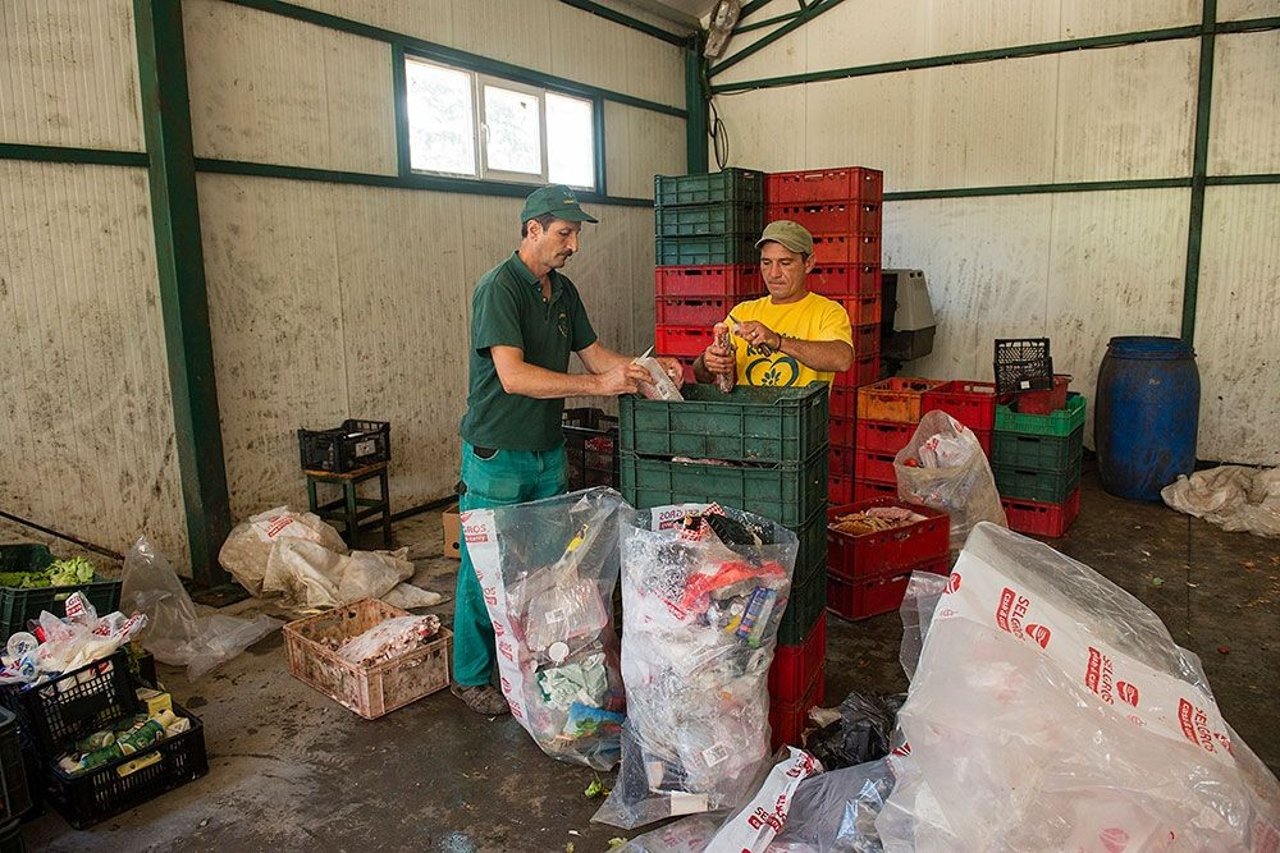 sorting-donations-credit-world-animal-protection-low-res-1020310