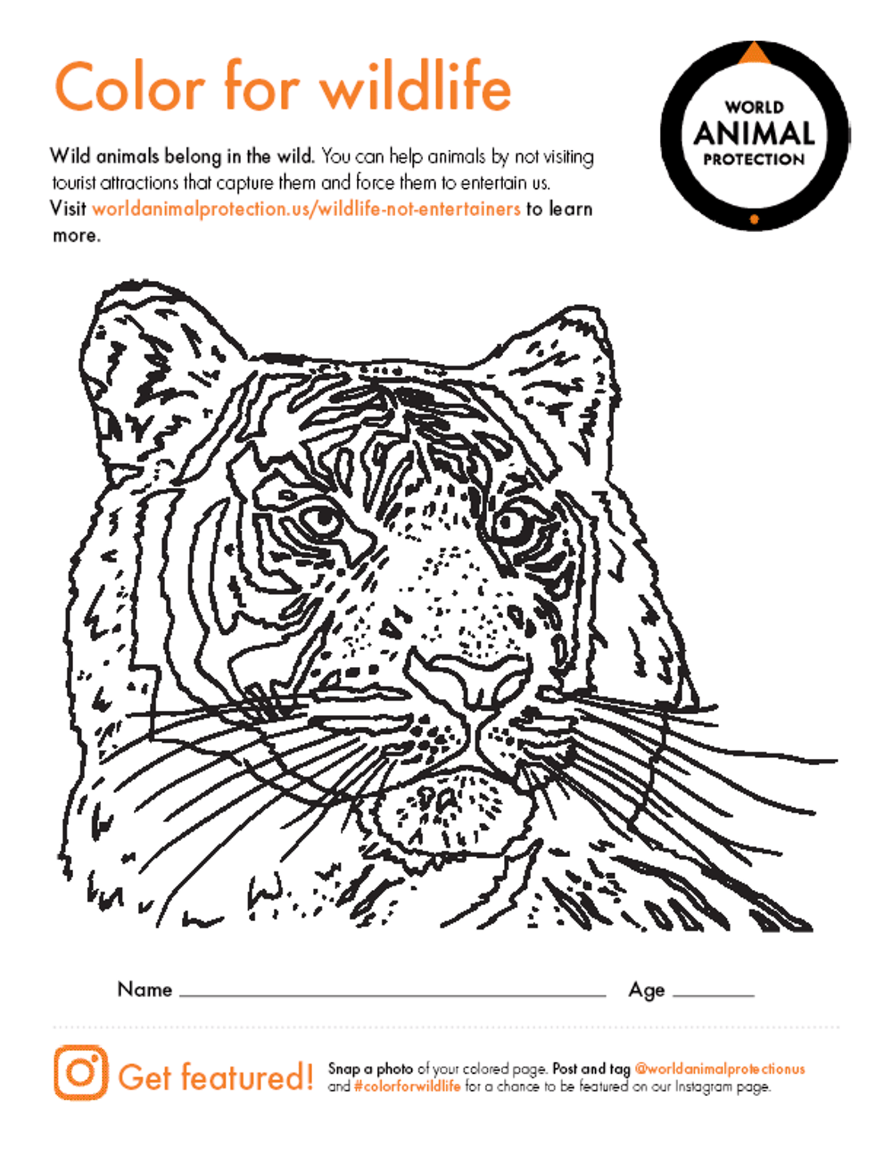 Tiger Coloring Activity