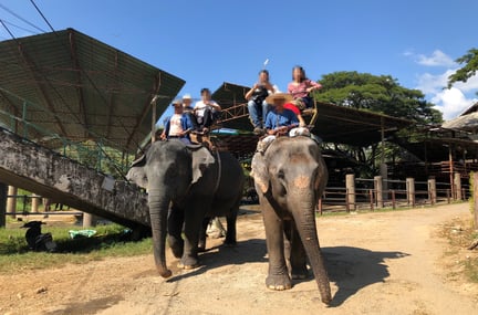 Tourists riding elephants
