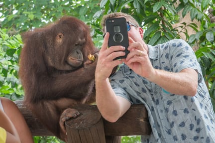 A man taking a photo with an orangutan in Bali, Indonesia.