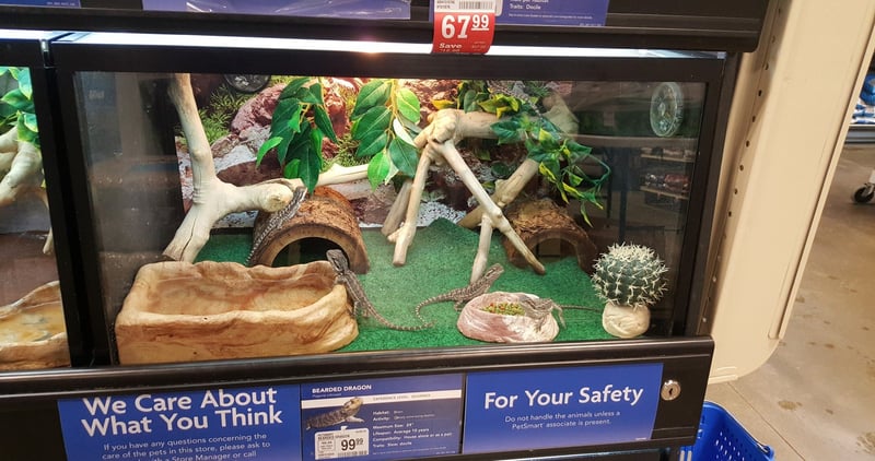 We Delivered Your Message to PetSmart
