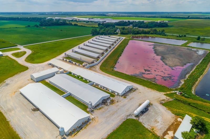 aerial view of a cafo