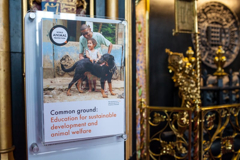 Common Ground: Education for Sustainable Development and Animal Welfare