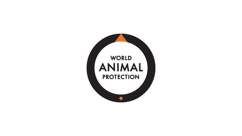World Animal Protection's logo on a white background.