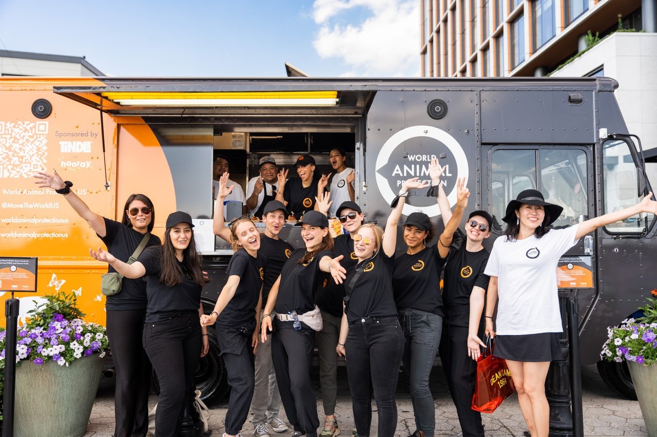 World Animal Protection team in front of our food truck
