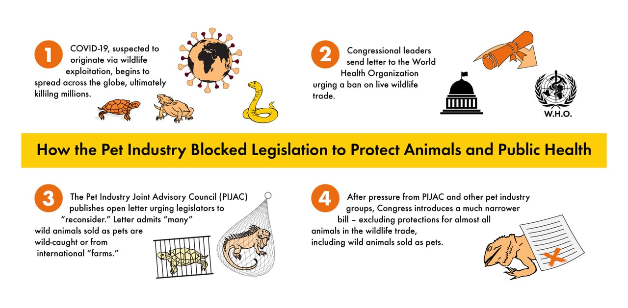 After covid, the pet industry blocked legislation that would protect animals and public health.