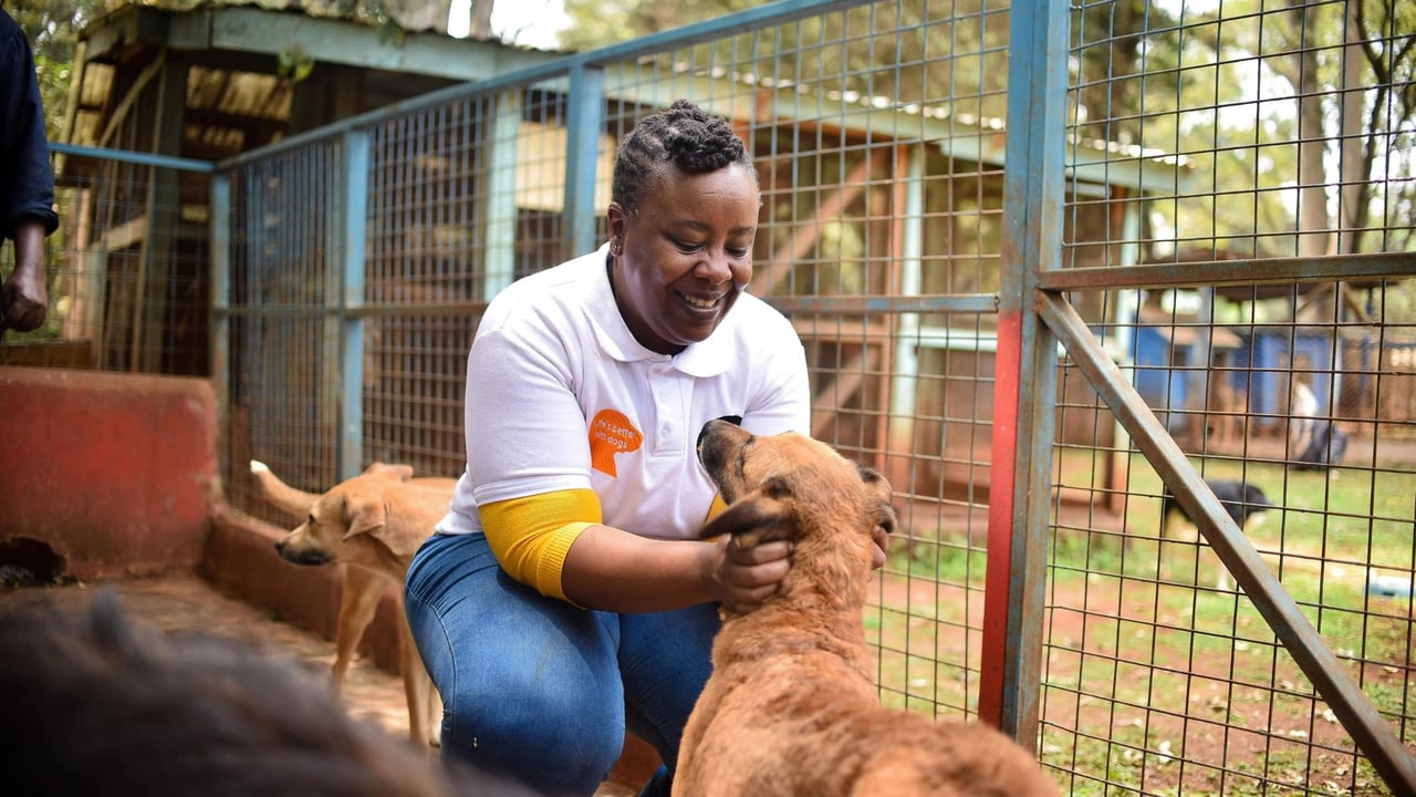 A happy volunteer pets a dog.