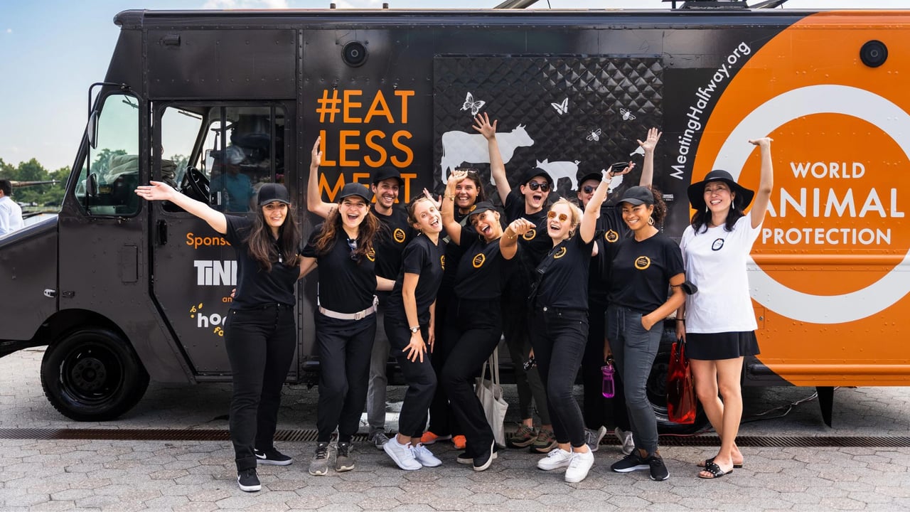 World Animal Protection staff and volunteers attending our food truck.