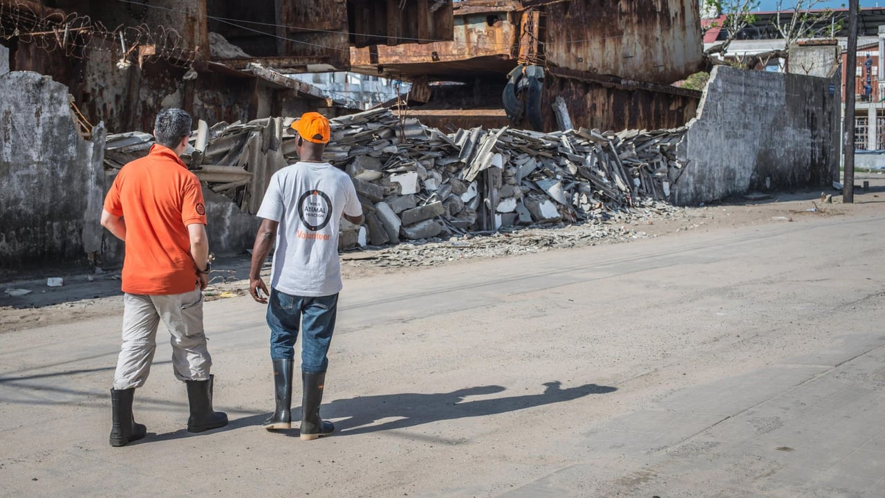 WAP staff assessing damage from a natural disaster.