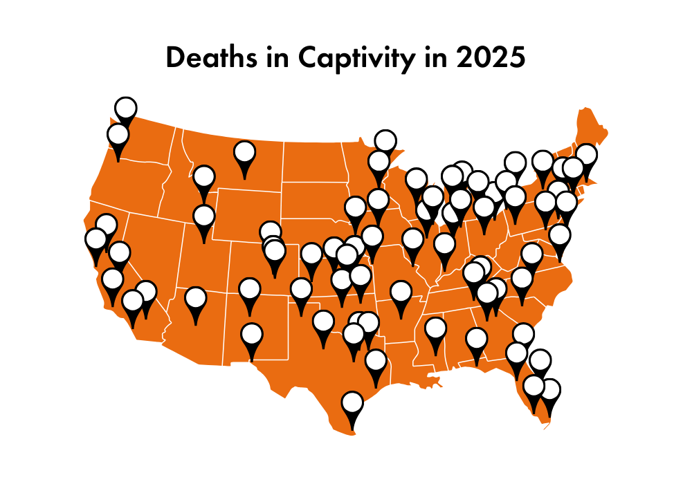 Map of animal deaths in zoos across the US in 2025.