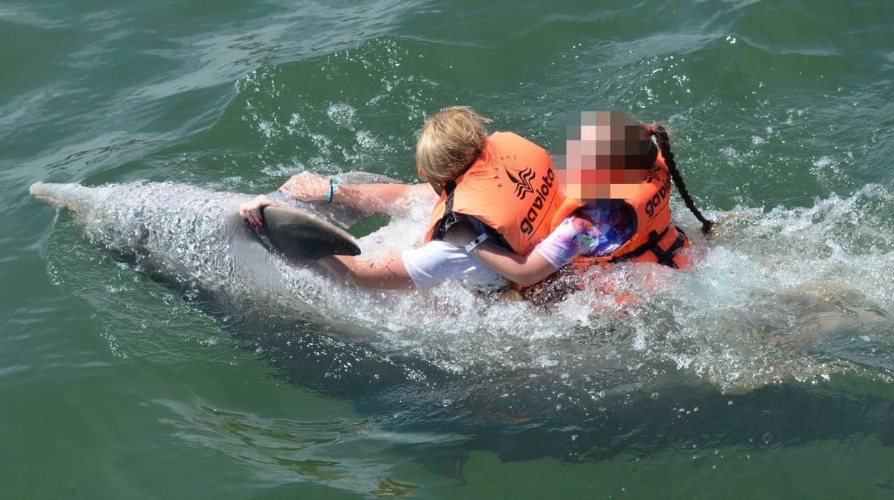 Mother and daughter riding a dolphin.