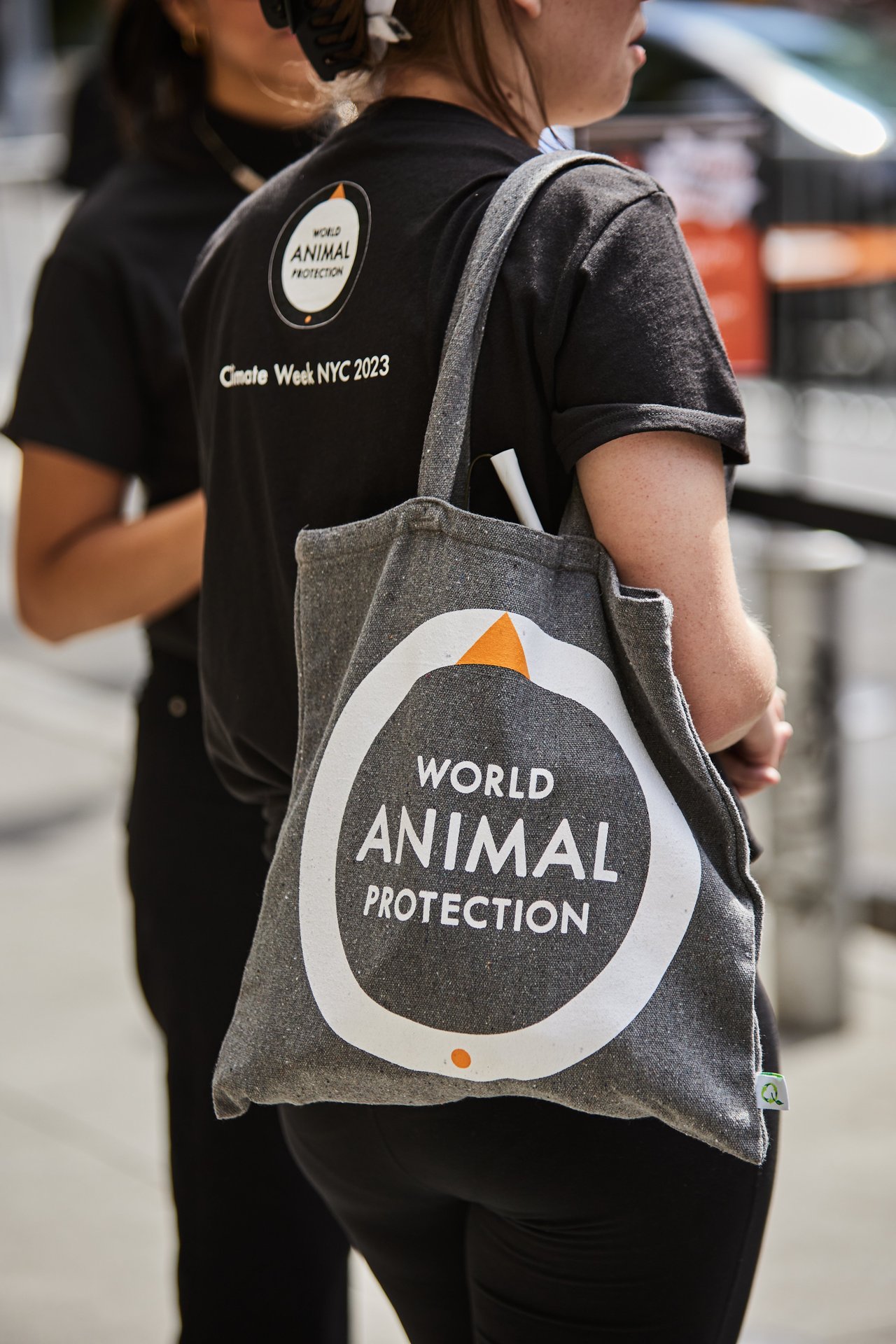 A World Animal Protection employee wearing World Animal Protection merchandise.