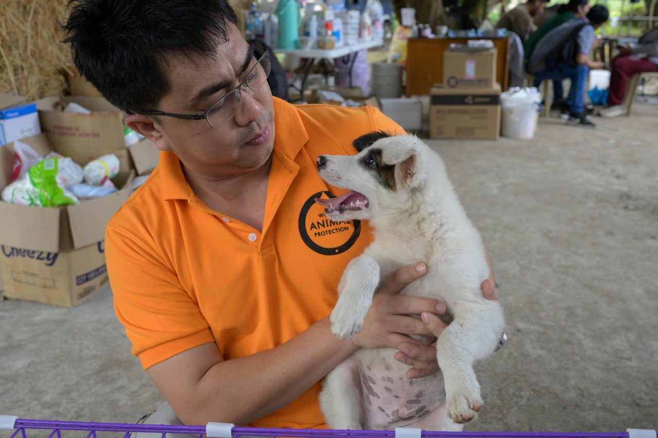 WAP team member with a puppy.