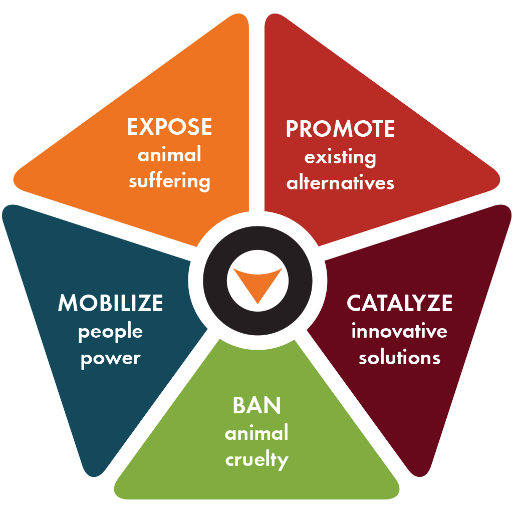 Theory of change diagram