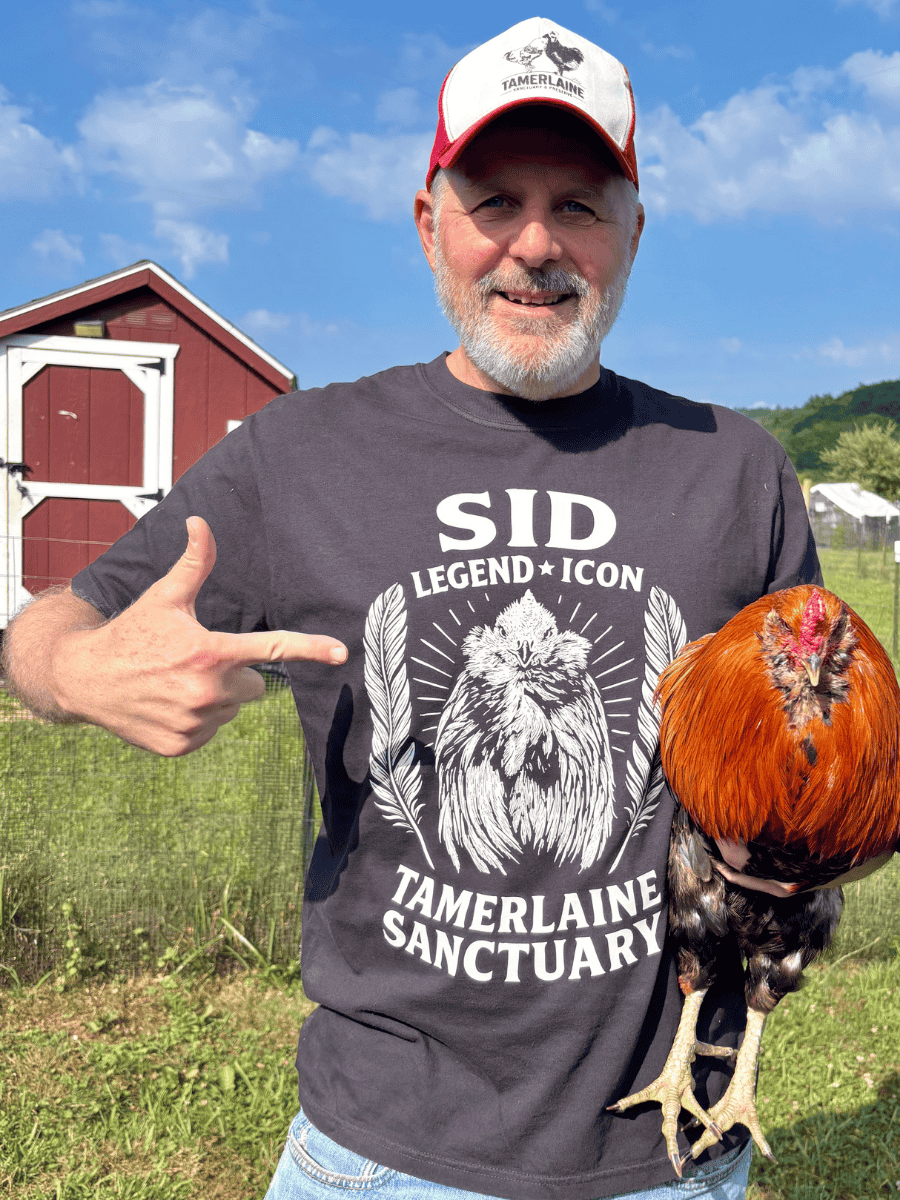 Sid the rooster with a visitor at Tamerlaine Sanctuary & Preserve.