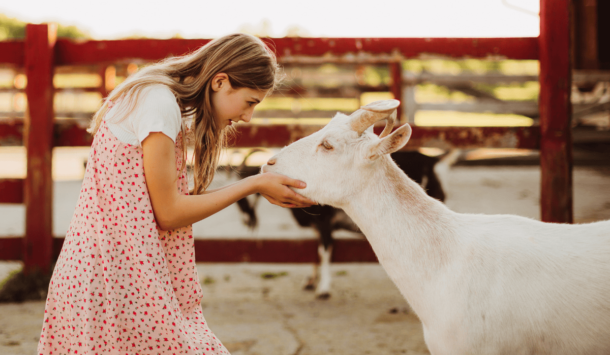 Angel the goat at Tamerlaine Sanctuary & Preserve.