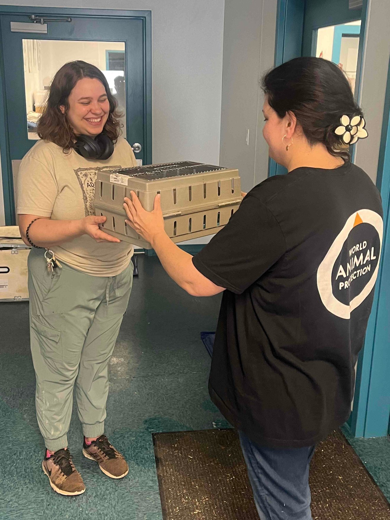 Mei Mei the parakeet rescued by World Animal Protection and Foster Parrots.