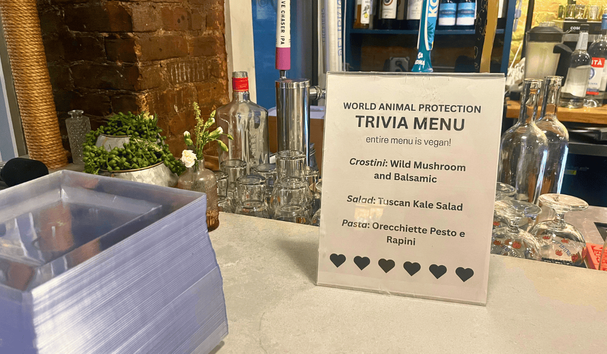Climate Week NYC 2025 Trivia Night food menu.