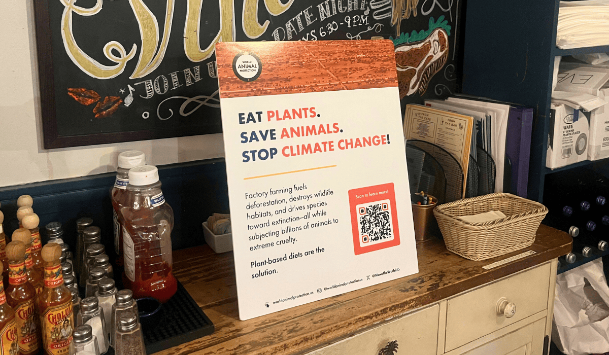 Climate Week NYC 2025 Trivia Night signage.