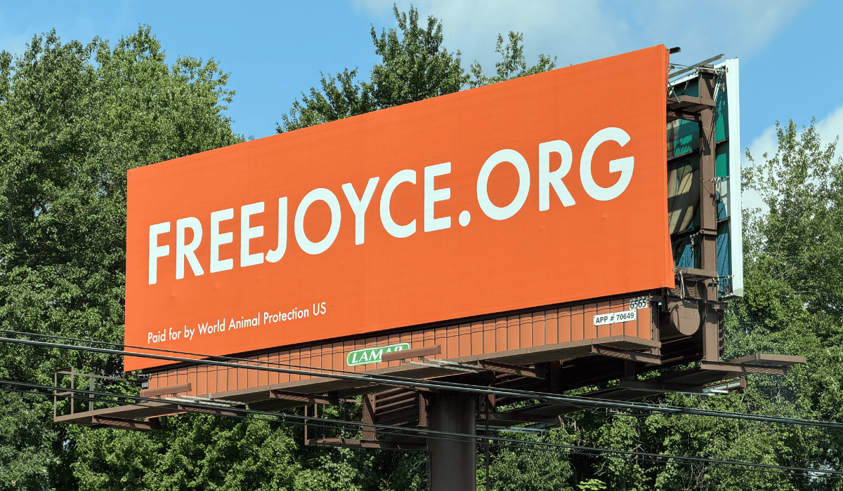 Free Joyce billboard in New Jersey for World Elephant Day 2026.