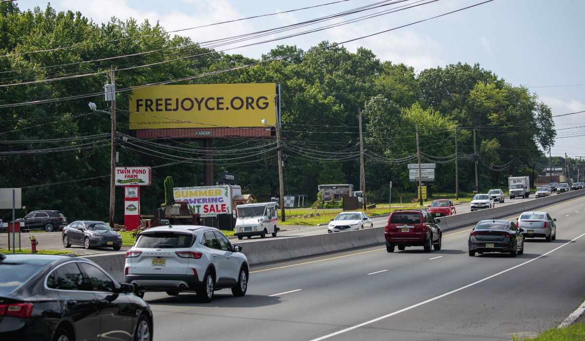 Free Joyce billboard in New Jersey for World Elephant Day 2026.