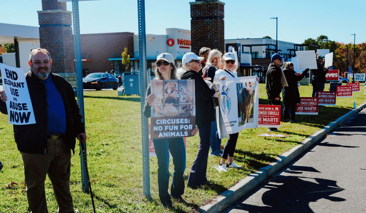 Protestors at our protest to free Joyce the elephant, outside of Six Flags.
